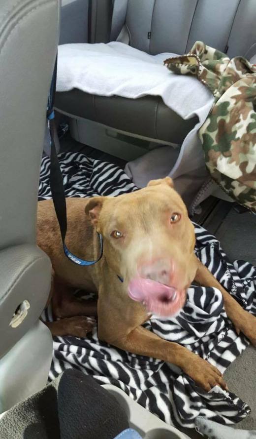 Uhura's freedom ride to new home