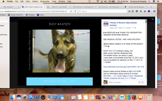 RUDY HAS BEEN RESCUED Screen Shot 2017-05-18 at 6.48.04 AM